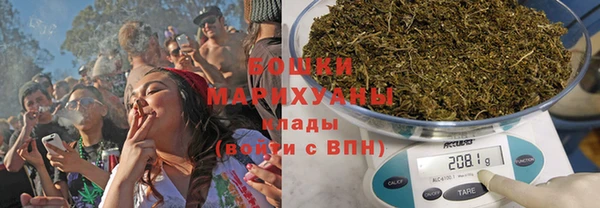 шишки Магадан
